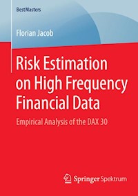 Risk Estimation on High Frequency Financial Data - Florian Jacob - E-Book