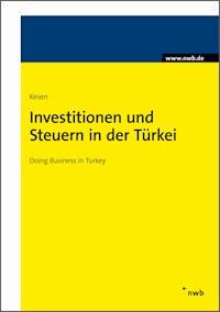 Investitionen und Steuern in der Türkei - Nebi Kesen - E-Book