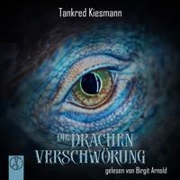 Die Drachenverschwörung - Tankred Kiesmann - Hörbuch