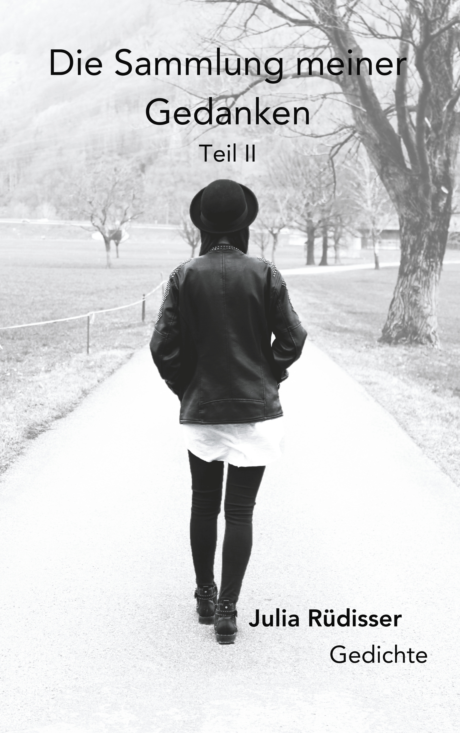 Die Sammlung meiner Gedanken - Julia Rüdisser - E-Book