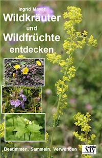 Wildkräuter und Wildfrüchte entdecken - Ingrid Mayer - E-Book