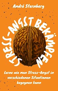 Stress-Angst bekämpfen - Andre Sternberg - E-Book