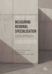 Measuring Regional Specialisation - Katarzyna Kopczewska - E-Book