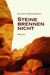 Steine brennen nicht - Klaus D. Biedermann - E-Book