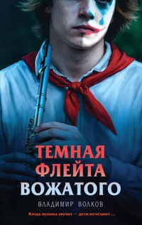 Темная флейта вожатого - Владимир Волков - E-Book
