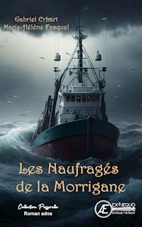Les naufragés de la Morrigane - Gabriel Erhart - E-Book