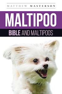 Maltipoo  Bible And Maltipoos - Matthew Masterson - E-Book