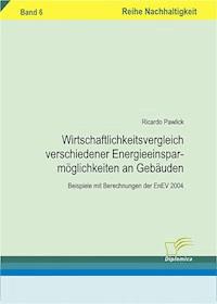 Wirtschaftlichkeitsvergleich verschiedener Energieeinsparmöglichkeiten an Gebäuden - Ricardo Pawlick - E-Book