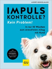 Impulskontrolle? Kein Problem! - André Henkelmann - E-Book
