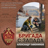 Бригада с запада - Тамоников Александр - Hörbuch