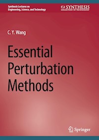 Essential Perturbation Methods - C.Y. Wang - E-Book