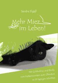 Mehr Miez im Leben! - Sandra Elgaß - E-Book