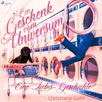 Ein Geschenk vom Universum - Eine Liebes-Geschichte (Gekürzt) - Christiane Gohl - Hörbuch