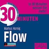 30 Minuten Flow - Markus Hornig - Hörbuch