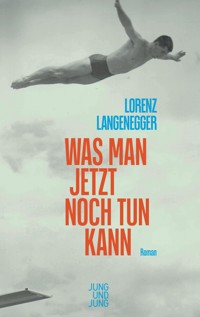 Was man jetzt noch tun kann - Lorenz Langenegger - E-Book