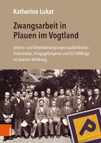 Zwangsarbeit in Plauen im Vogtland - Katherine Lukat - E-Book
