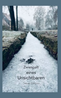 Zwiespalt eines Unsichtbaren - Tobias Geibies - E-Book