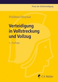 Verteidigung in Vollstreckung und Vollzug - Helmut Pollähne - E-Book