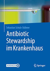 Antibiotic Stewardship im Krankenhaus - Sebastian Schulz-Stübner - E-Book