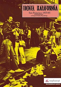 Hotel Kalifornia. San Francisco 1975-85 - " " =SUBSTITUTE(D113 - E-Book