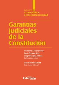 Garantías judiciales de la Constitución Tomo II - Varios autores - E-Book