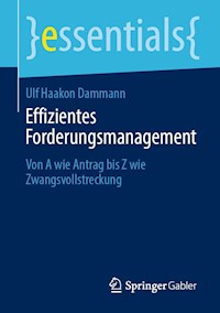 Effizientes Forderungsmanagement - Ulf Haakon Dammann - E-Book