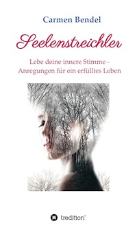 Seelenstreichler - Carmen Bendel - E-Book