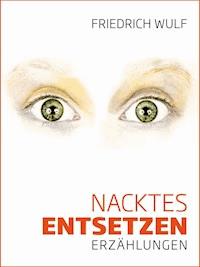 Nacktes Entsetzen - Friedrich Wulf - E-Book