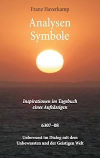 Analysen - Symbole 6307-08 - Franz Haverkamp - E-Book