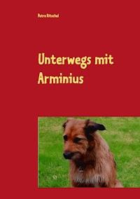 Unterwegs mit Arminius - Petra Ritschel - E-Book