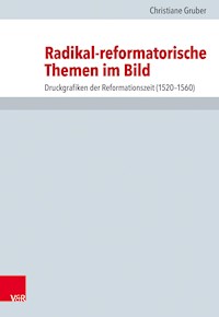 Radikal-reformatorische Themen im Bild - Christiane Gruber - E-Book