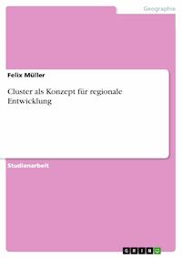 Cluster als Konzept für regionale Entwicklung - Felix Müller - E-Book