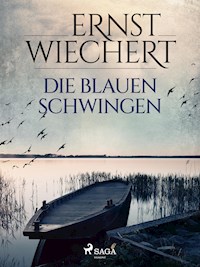 Die blauen Schwingen - Ernst Wiechert - E-Book