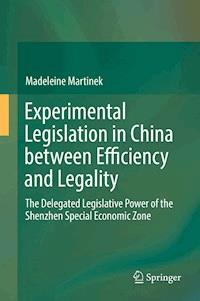 Experimental Legislation in China between Efficiency and Legality - Madeleine Martinek - E-Book