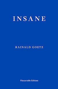 Insane - Rainald Goetz - E-Book