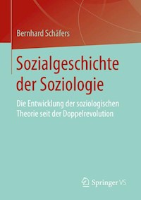 Sozialgeschichte der Soziologie - Bernhard Schäfers - E-Book