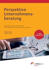 Perspektive Unternehmensberatung 2019 - - E-Book