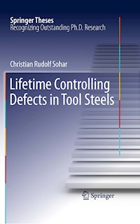 Lifetime Controlling Defects in Tool Steels - Christian Rudolf Sohar - E-Book