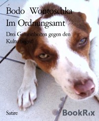 Im Ordnungsamt - Bodo Wontoschka - kostenlos E-Book