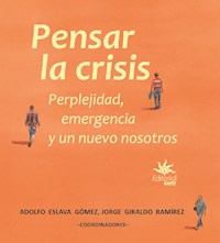 Pensar la crisis - Adolfo Eslava Gómez - E-Book