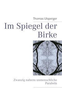 Im Spiegel der Birke - Thomas Ulsperger - E-Book