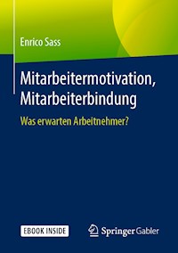 Mitarbeitermotivation, Mitarbeiterbindung - Enrico Sass - E-Book