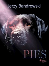 Pies - Jerzy Bandrowski - E-Book