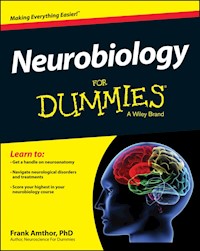 Neurobiology For Dummies - Frank Amthor - E-Book