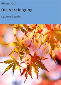 Die Vereinigung - Ahmet Gül - E-Book