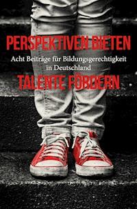 Perspektiven bieten - Talente fördern - Bastian Stein - E-Book