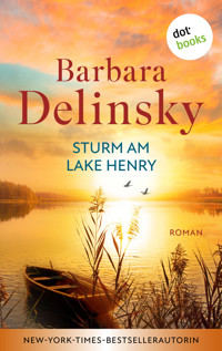 Sturm am Lake Henry - Barbara Delinsky - E-Book