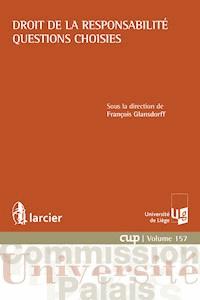 Droit de la responsabilité - Questions choisies -  - E-Book