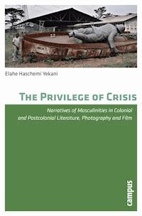 The Privilege of Crisis - Elahe Haschemi Yekani - E-Book