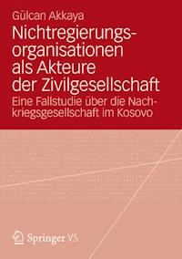 Nichtregierungsorganisationen als Akteure der Zivilgesellschaft - Gülcan Akkaya - E-Book
